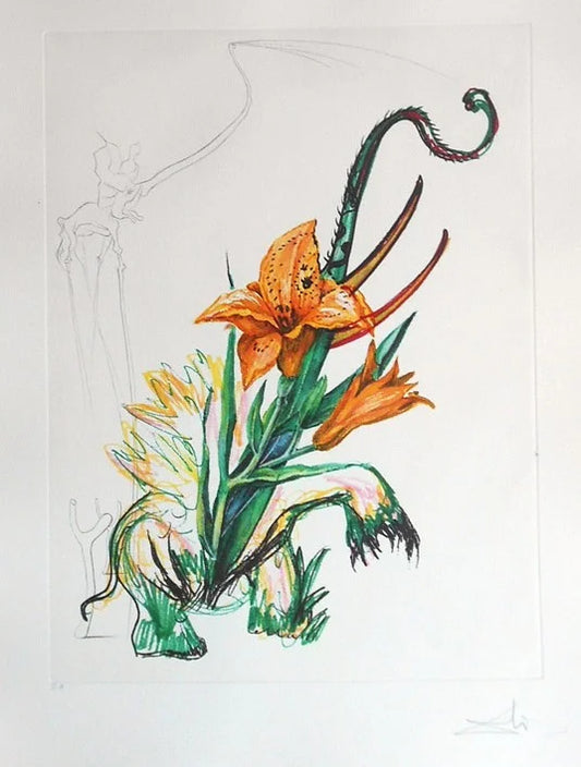 Salvador Dalí, Surrealistic Flowers (Hermocallis Thumergill Elephanter Furiosa)