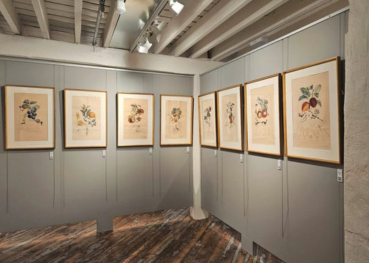 The fertile soil of Salvador Dalí’s mind reveals the secrets of fruits and florals
